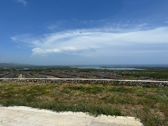 HOUSE FOR SALE STONEBROOK, TRELAWNY