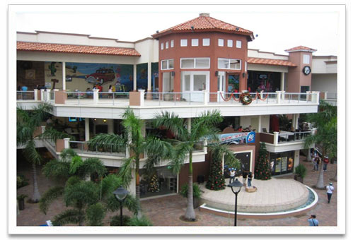 Commercial Space in the Heart of Palm Beach – 100 m² | Second-Floor Unit