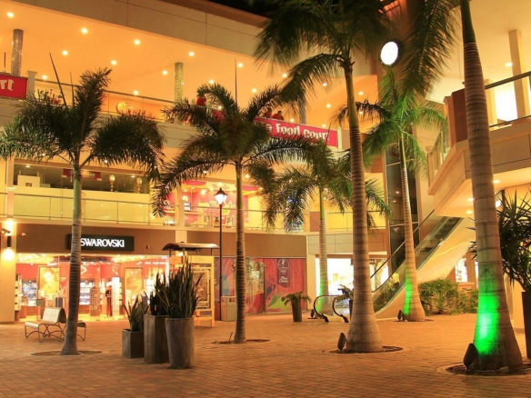 Commercial Space in the Heart of Palm Beach – 100 m² | Ground Floor Unit