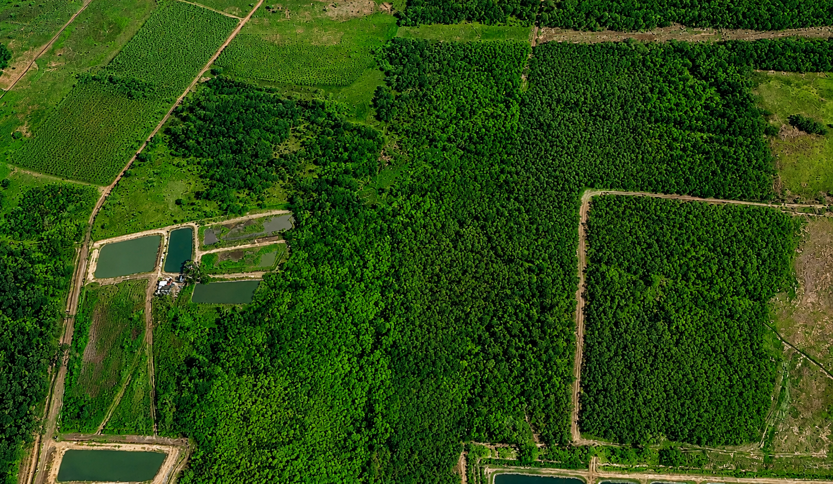 Development Land (Residential), 36a Bushy Park, Old Harbour area, St. Catherine