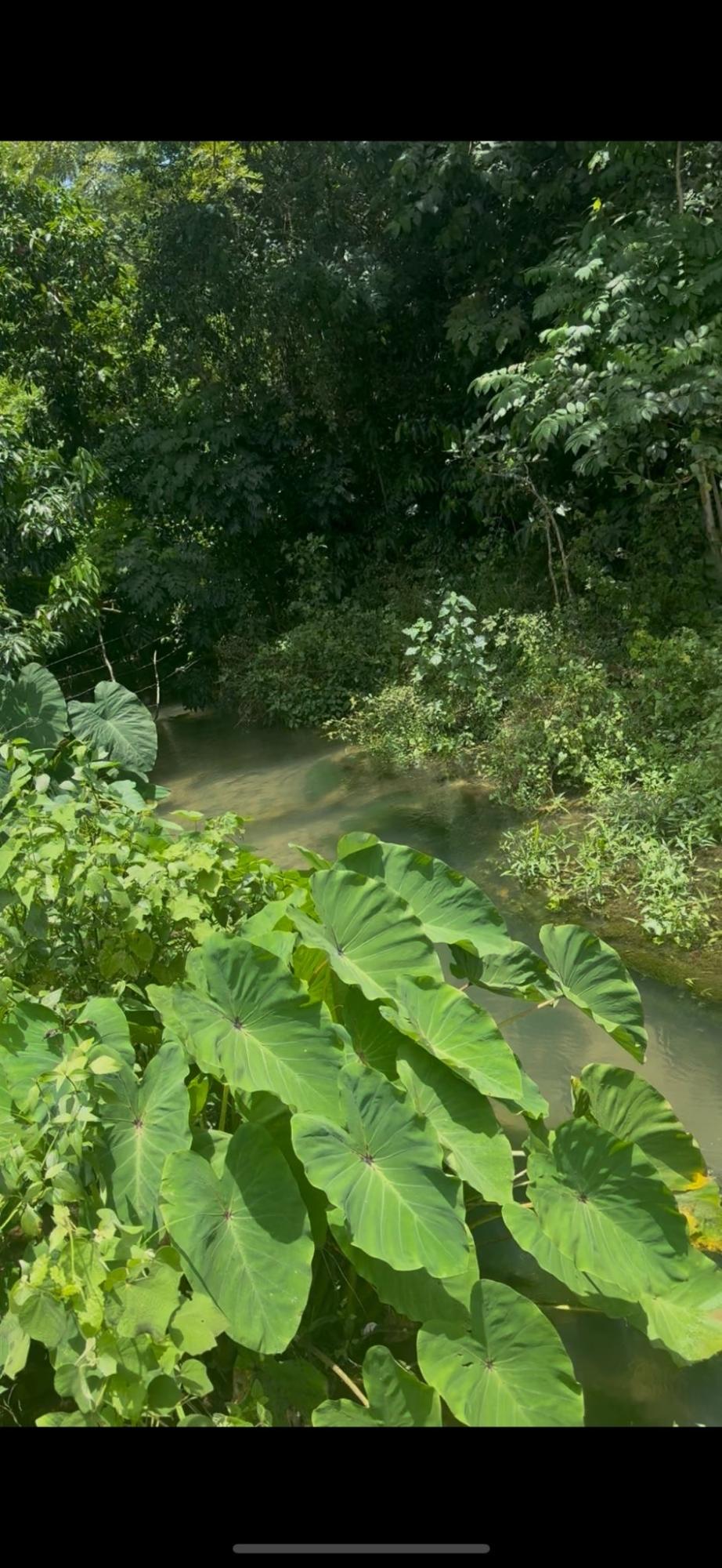 Development Land (Residential) for Sale Petersfield CARAWINA, Westmoreland