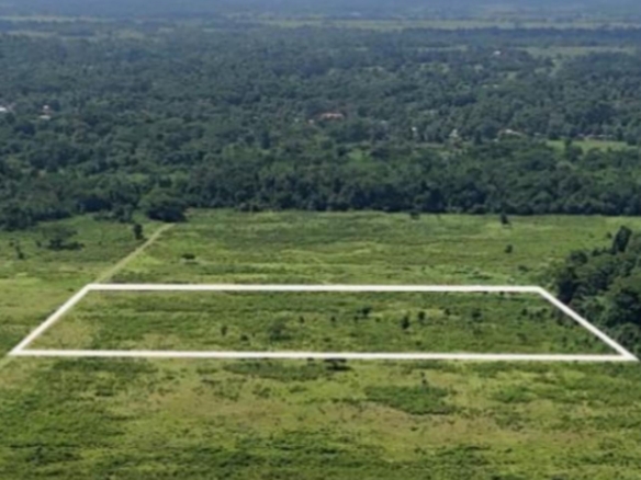 Development Land (Residential) for Sale Petersfield CARAWINA, Westmoreland