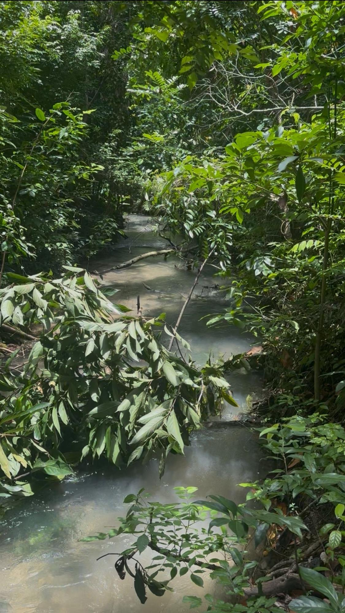 Development Land (Residential) for Sale Petersfield CARAWINA, Westmoreland
